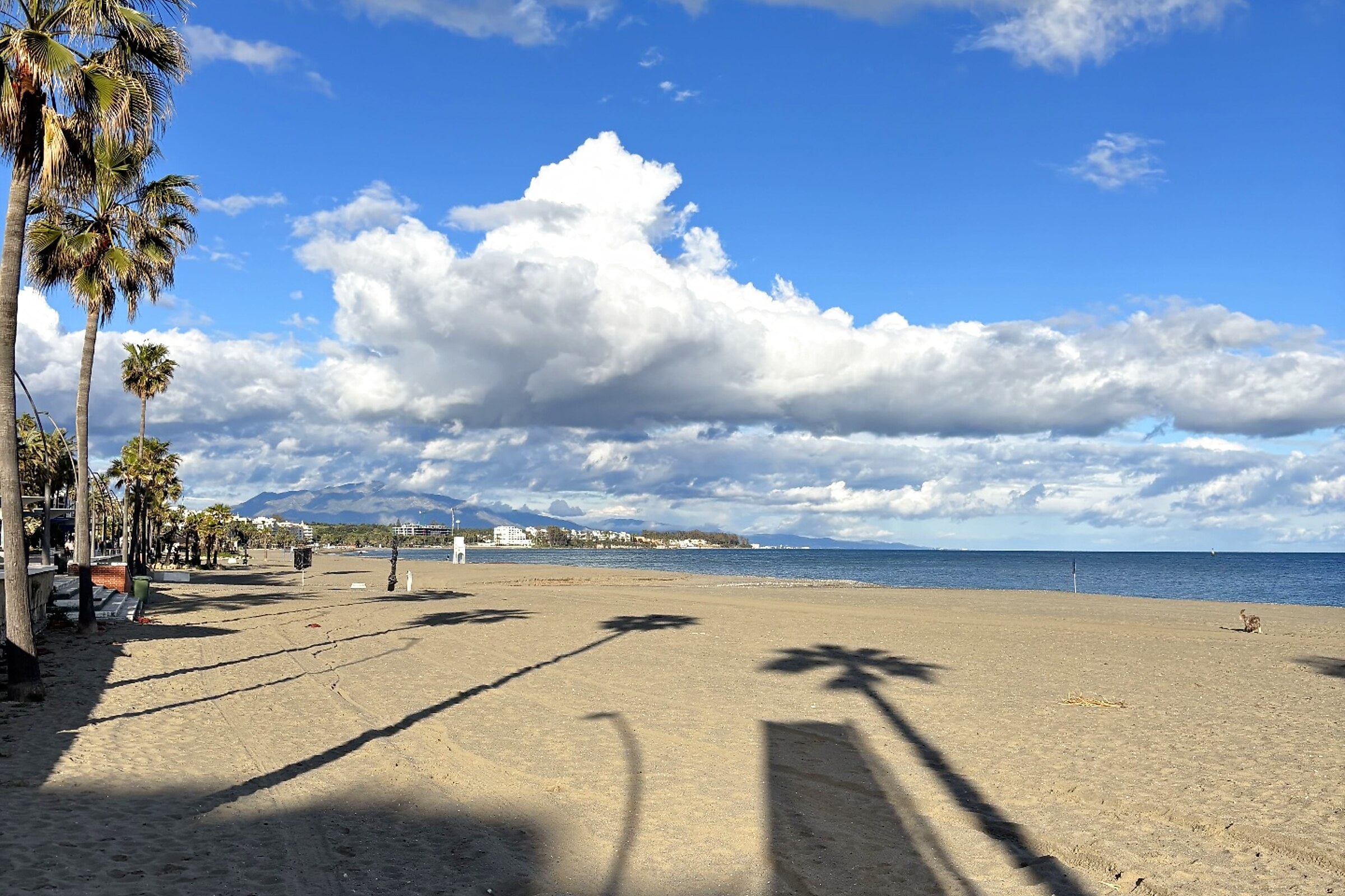 Weiter Sandstrand Playa de la Rada in Estepona mit Palmen, Promenade und Blick auf die Berge