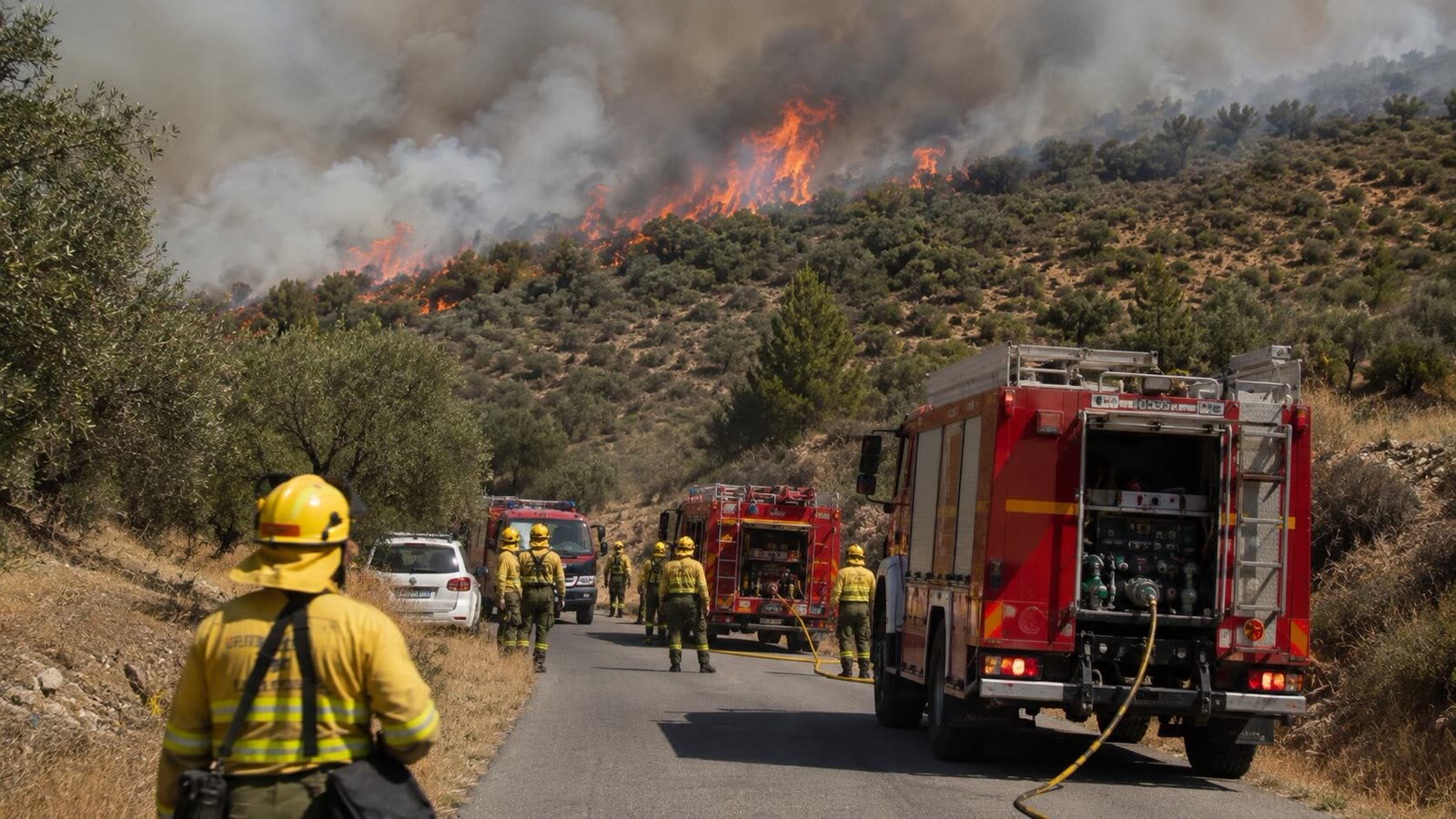 Waldbrandkatastrophe in Andalusien: Mindestens 11 Tote bei Feuer in Almería
