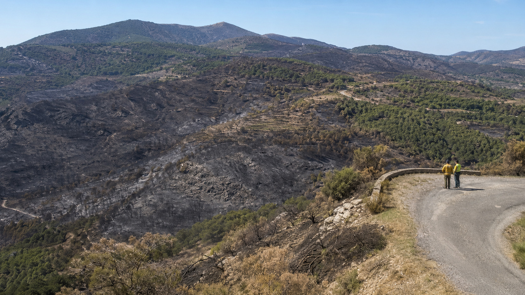 Verbrannte Berglandschaft nach einem Waldbrand in der Region Valencia