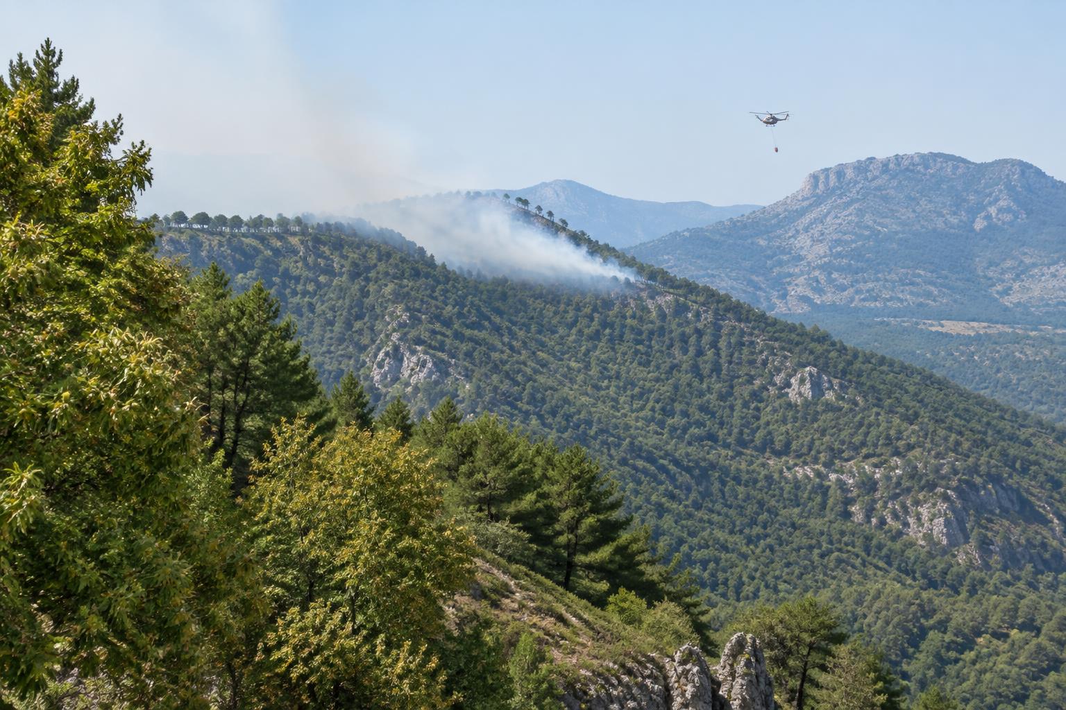 Bewaldete Berghänge der Serranía de Ronda mit Rauchschleier und Löschhubschrauber bei Tageslicht